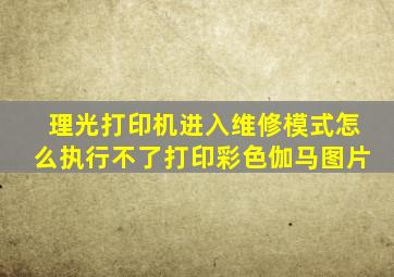 理光打印机进入维修模式怎么执行不了打印彩色伽马图片