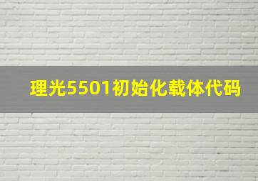 理光5501初始化载体代码