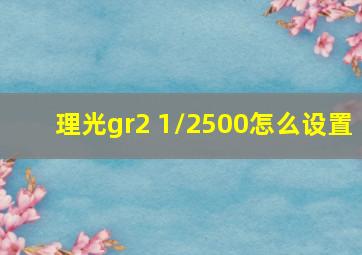 理光gr2 1/2500怎么设置