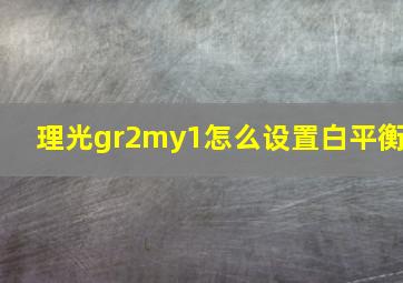 理光gr2my1怎么设置白平衡