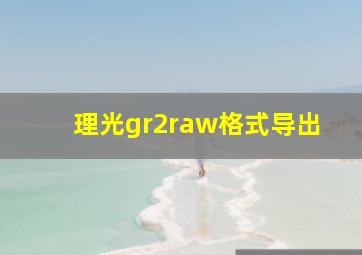 理光gr2raw格式导出