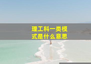 理工科一类模式是什么意思