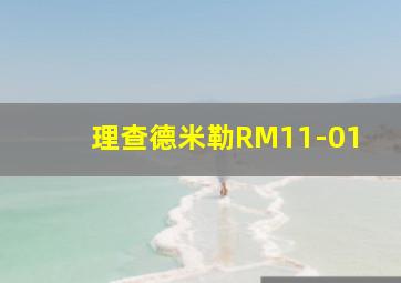 理查德米勒RM11-01