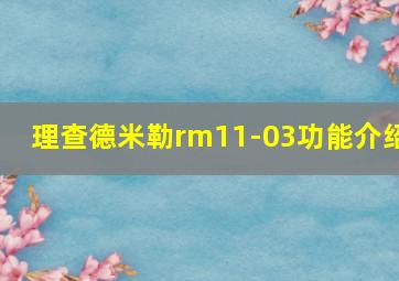 理查德米勒rm11-03功能介绍