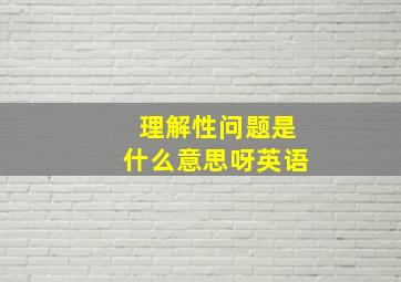 理解性问题是什么意思呀英语