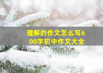 理解的作文怎么写600字初中作文大全