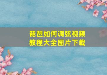 琵琶如何调弦视频教程大全图片下载