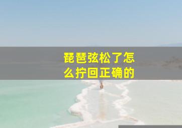 琵琶弦松了怎么拧回正确的