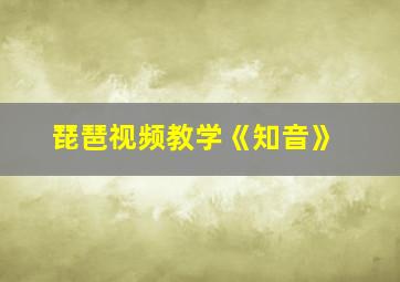 琵琶视频教学《知音》