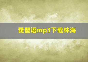 琵琶语mp3下载林海