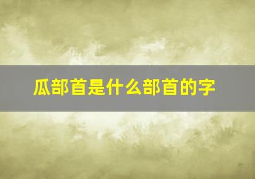 瓜部首是什么部首的字