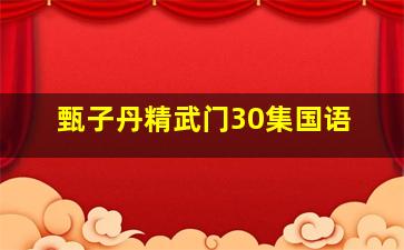 甄子丹精武门30集国语