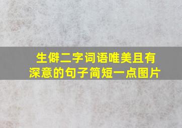 生僻二字词语唯美且有深意的句子简短一点图片