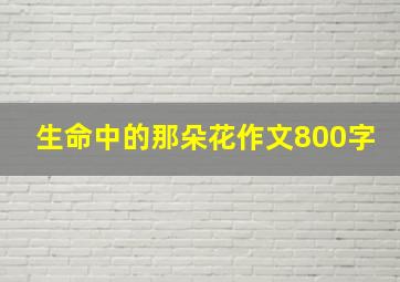 生命中的那朵花作文800字