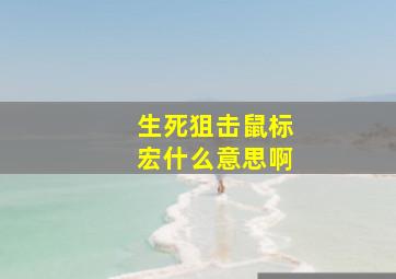 生死狙击鼠标宏什么意思啊