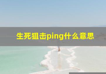 生死狙击ping什么意思