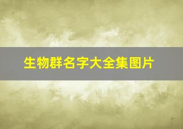 生物群名字大全集图片