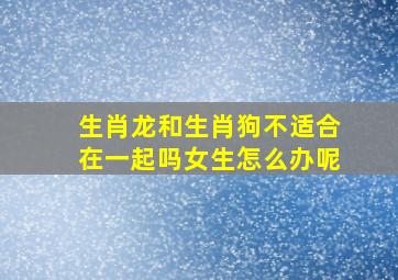 生肖龙和生肖狗不适合在一起吗女生怎么办呢