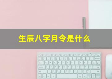 生辰八字月令是什么