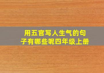 用五官写人生气的句子有哪些呢四年级上册