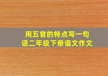 用五官的特点写一句话二年级下册语文作文