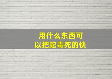 用什么东西可以把蛇毒死的快