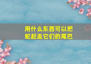 用什么东西可以把蛇赶走它们的尾巴