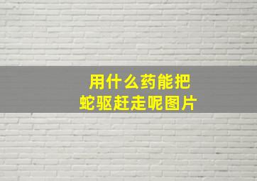 用什么药能把蛇驱赶走呢图片