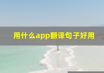 用什么app翻译句子好用