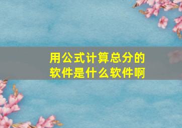 用公式计算总分的软件是什么软件啊