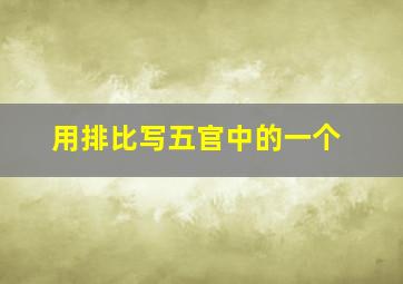 用排比写五官中的一个