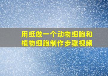 用纸做一个动物细胞和植物细胞制作步骤视频