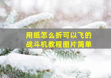 用纸怎么折可以飞的战斗机教程图片简单