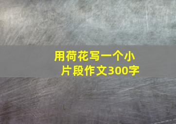 用荷花写一个小片段作文300字