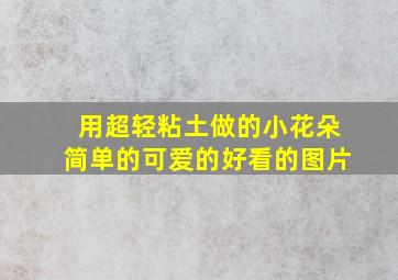 用超轻粘土做的小花朵简单的可爱的好看的图片