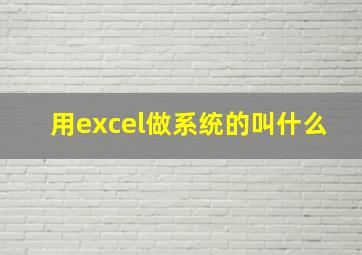 用excel做系统的叫什么