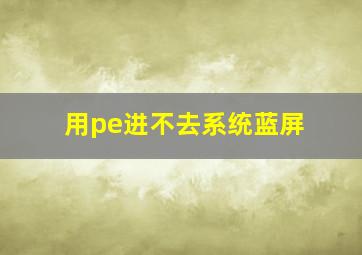 用pe进不去系统蓝屏