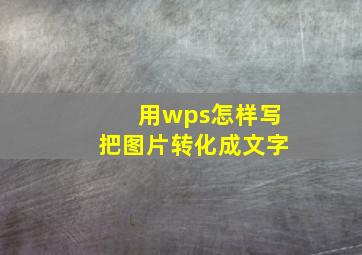 用wps怎样写把图片转化成文字