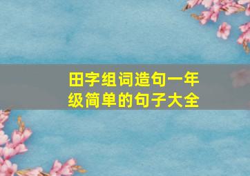 田字组词造句一年级简单的句子大全