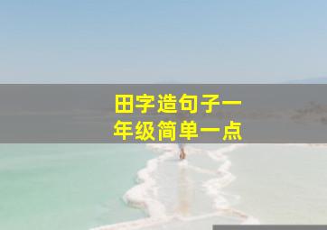 田字造句子一年级简单一点