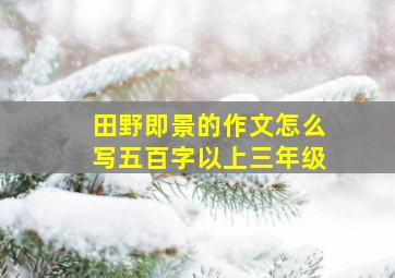 田野即景的作文怎么写五百字以上三年级