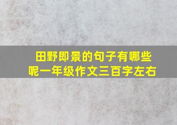 田野即景的句子有哪些呢一年级作文三百字左右