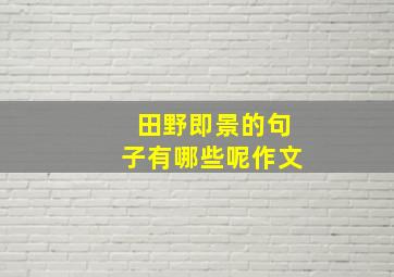 田野即景的句子有哪些呢作文