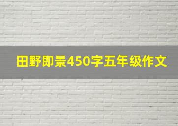 田野即景450字五年级作文