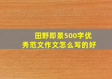 田野即景500字优秀范文作文怎么写的好