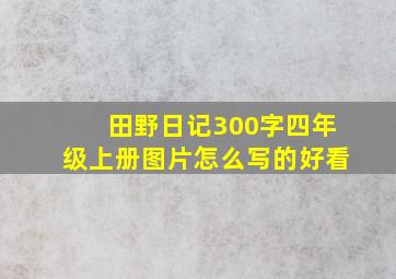 田野日记300字四年级上册图片怎么写的好看