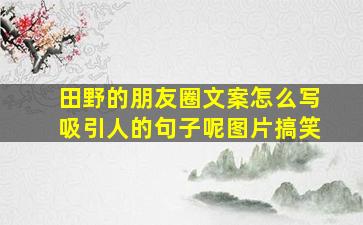 田野的朋友圈文案怎么写吸引人的句子呢图片搞笑