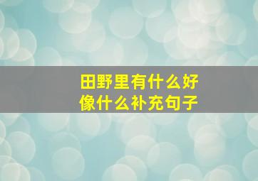 田野里有什么好像什么补充句子