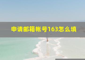 申请邮箱帐号163怎么填