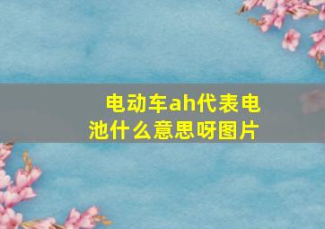 电动车ah代表电池什么意思呀图片